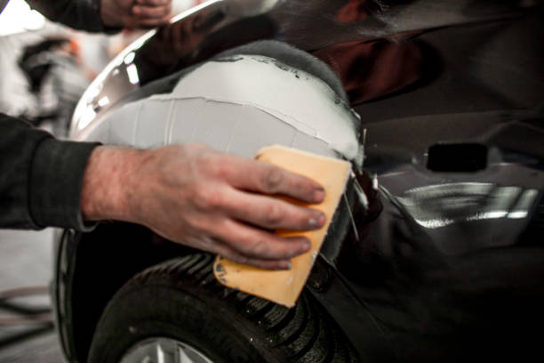 Ludowici, GA Mold Removal Company