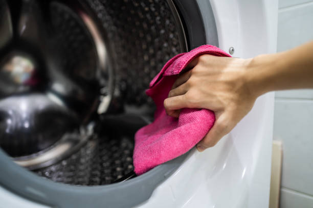 Best Mold Odor Removal Services  in Ludowici, GA