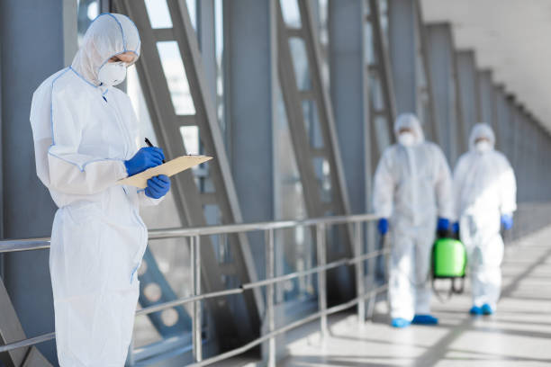 Best Air Quality Testing for Mold Spores  in Ludowici, GA