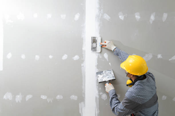 Best Comprehensive Air Testing for Mold Contaminants  in Ludowici, GA