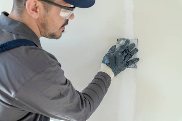 Best HVAC Mold Inspection and Cleaning  in Ludowici, GA