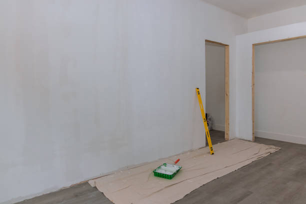 Best Attic Mold Removal  in Ludowici, GA
