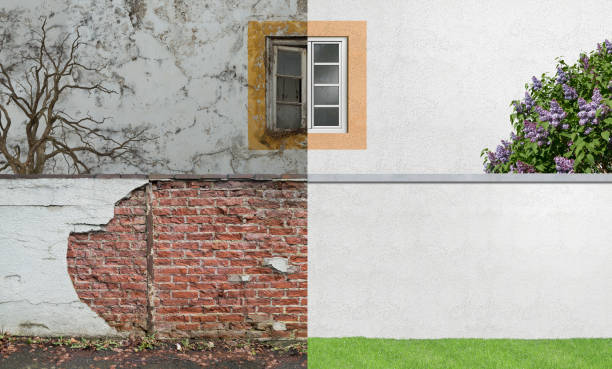 Best Forensic Mold Investigation  in Ludowici, GA